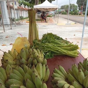 ចេកធម្មជាតិ